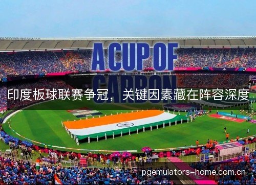 印度板球联赛争冠，关键因素藏在阵容深度